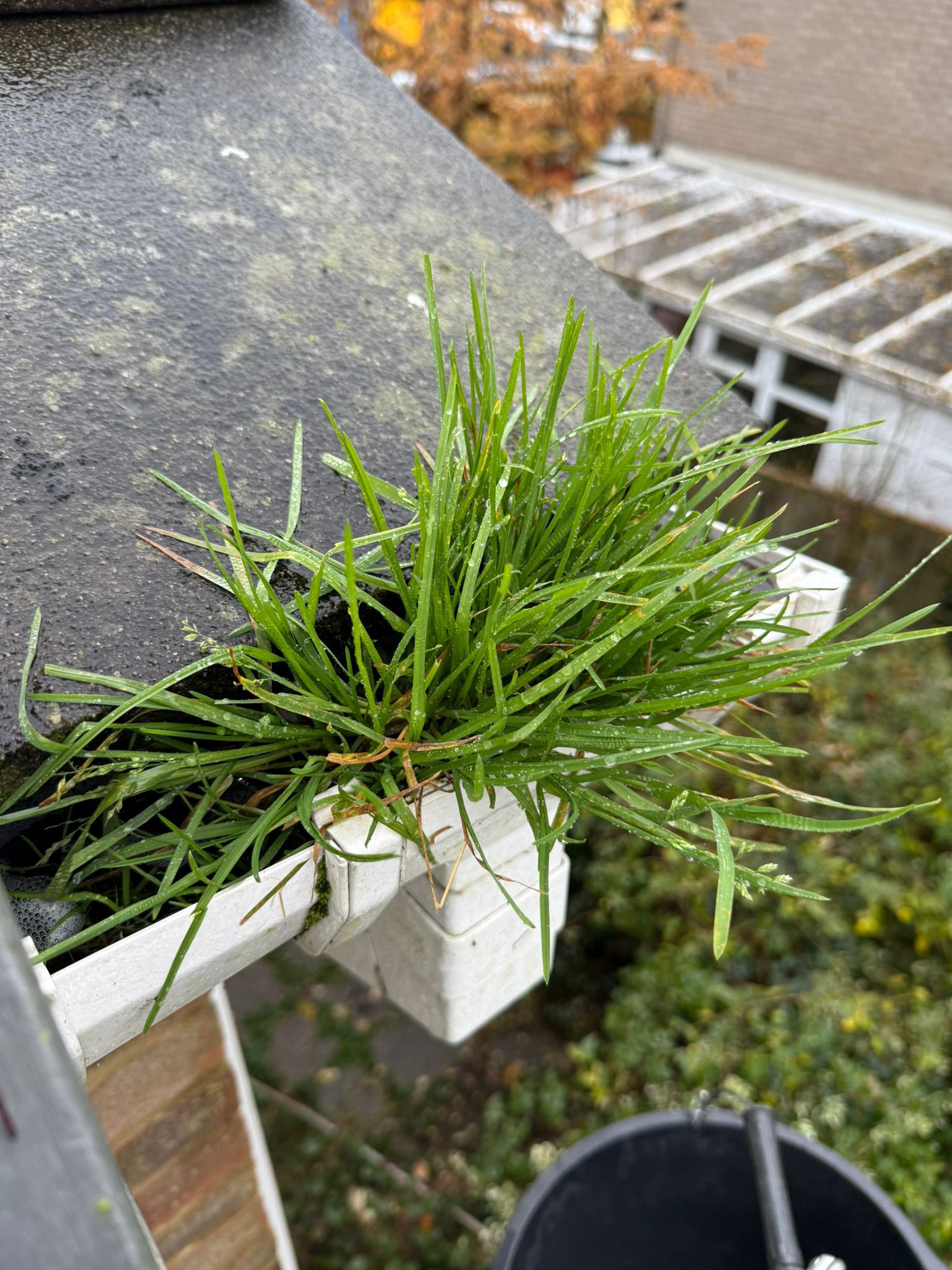 Blocked gutter downpipe in Sunninghill